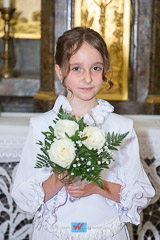 IMG_7025.jpg
