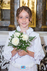 IMG_7026.jpg