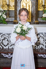 IMG_7027.jpg
