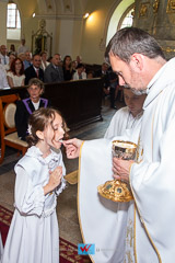 IMG_7296.jpg